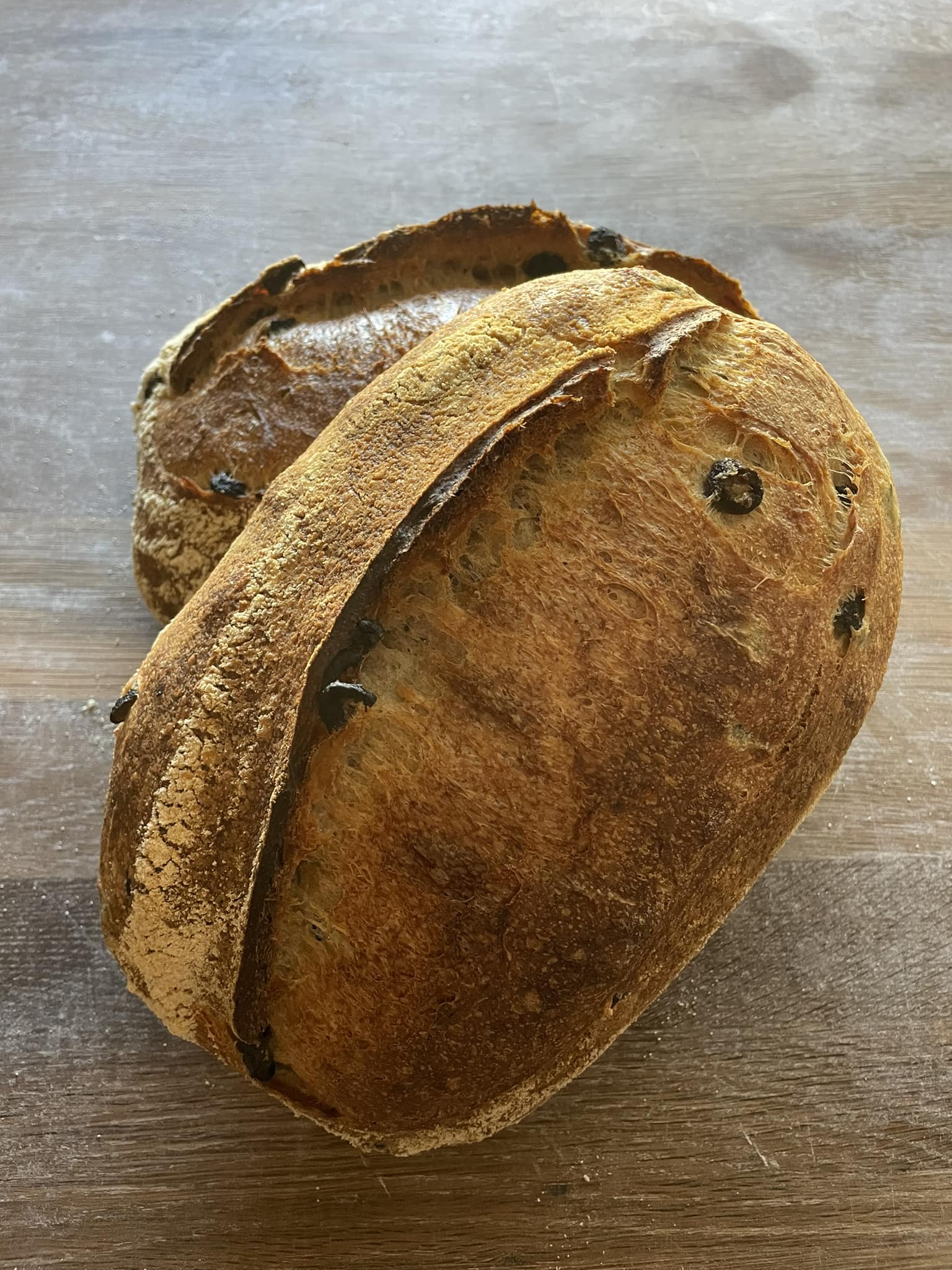Olive & Rosemary Sourdough